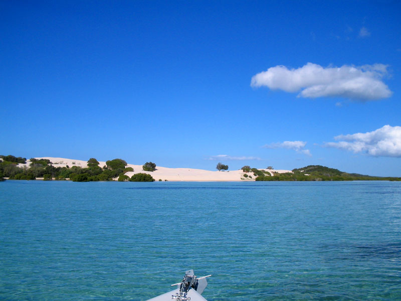 Moreton Bay